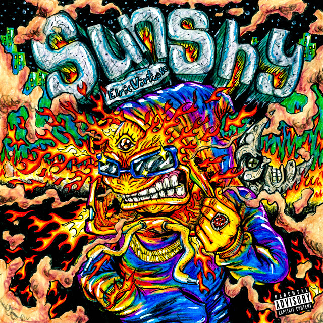 Sun Shy cover art