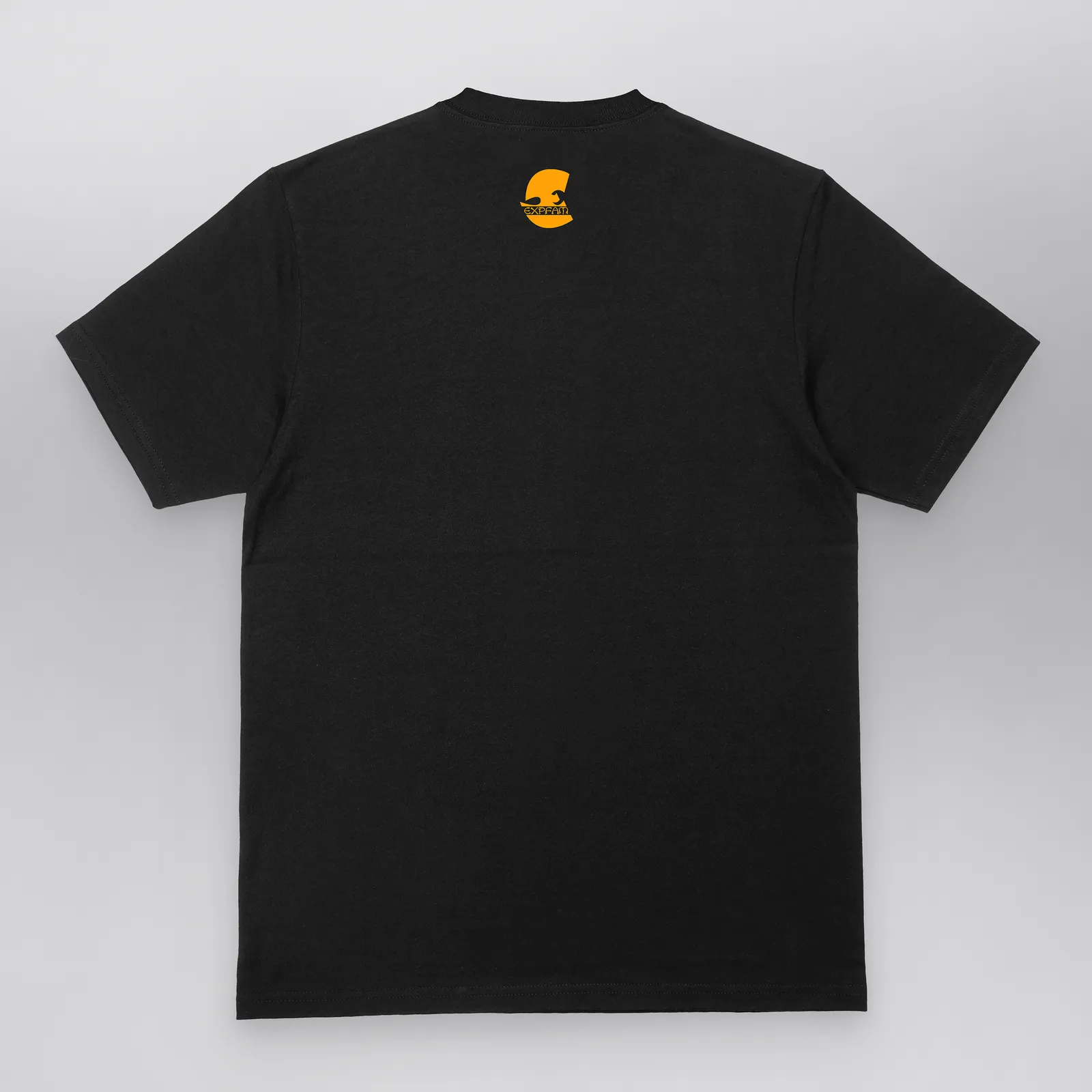 Wu-Tang Expansion Saga Tee — back